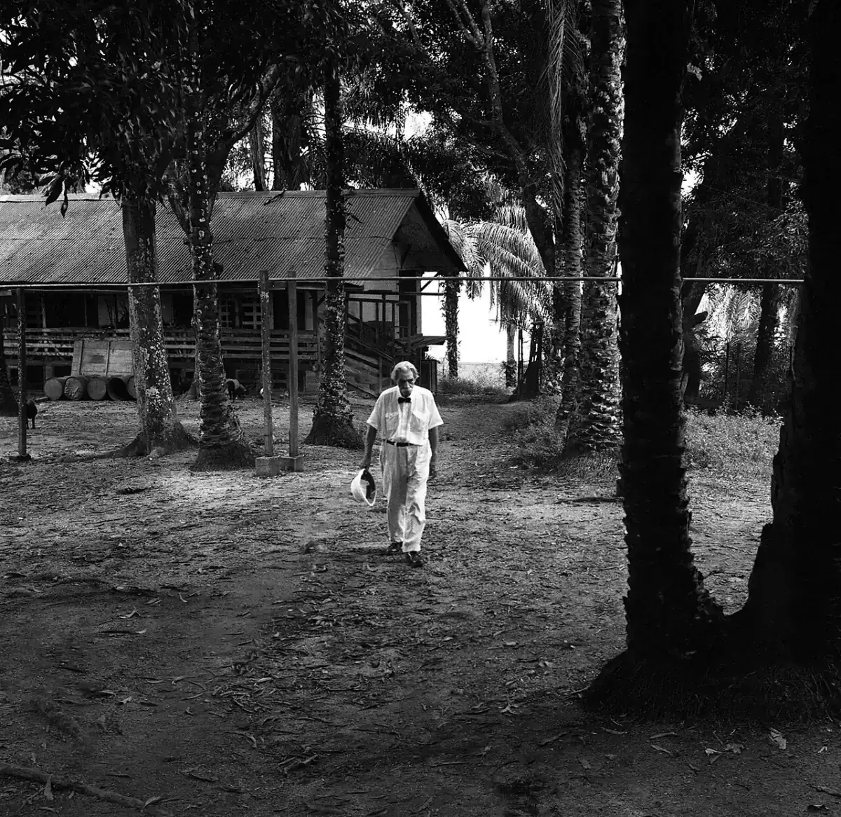 Albert Schweitzer à l'hôpital de Lambaréné