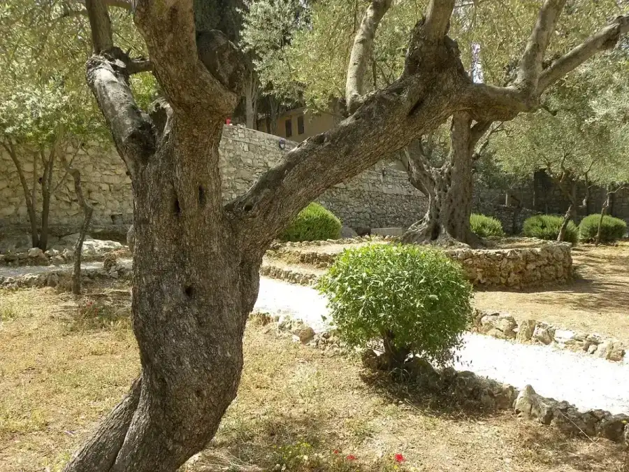 Jardin contemplatif d'un monastère