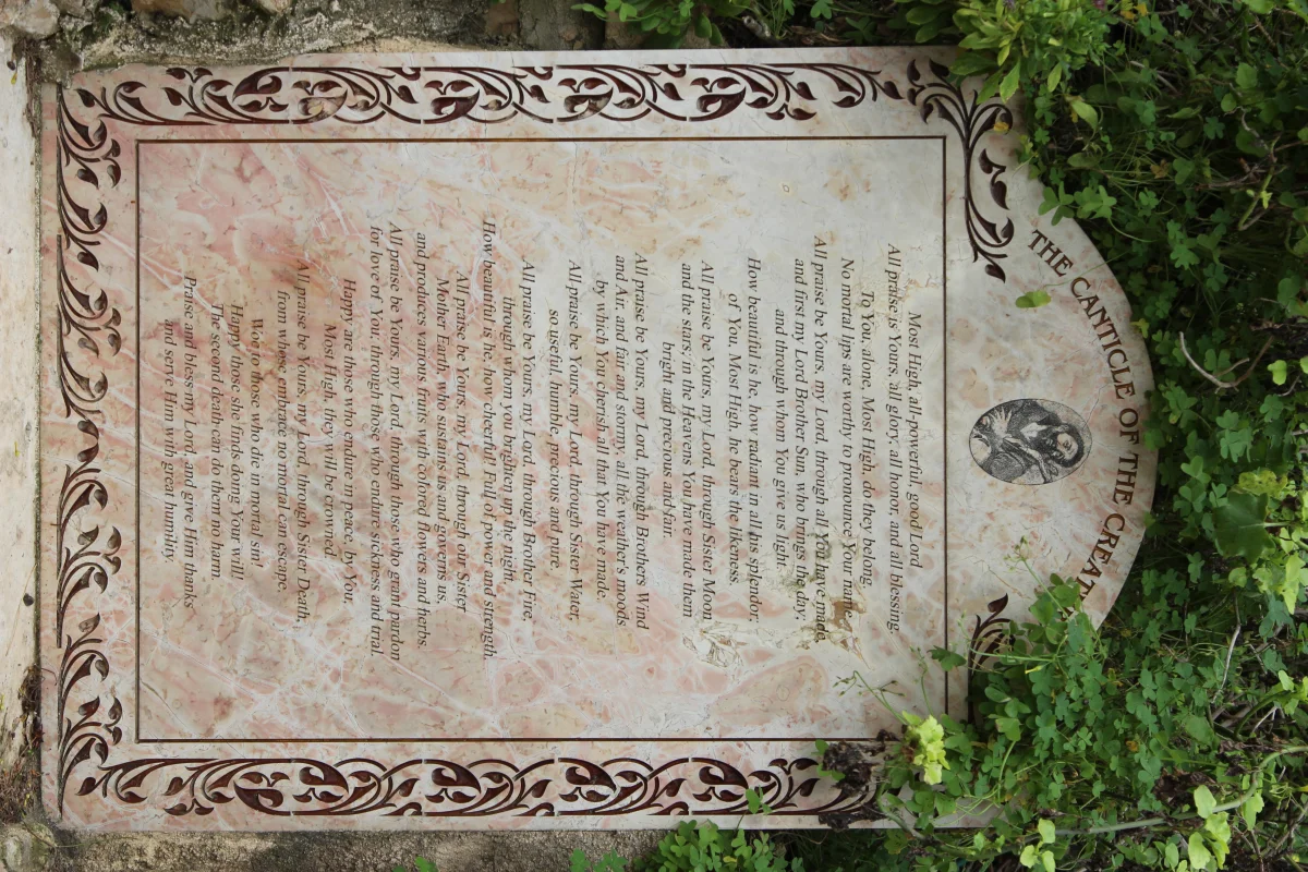 Jardin cultivé au fil des saisons — lieu de soin, de limite et d'attention au vivant.
